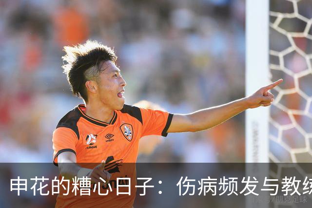 申花的糟心日子：伤病频发与教练风波
